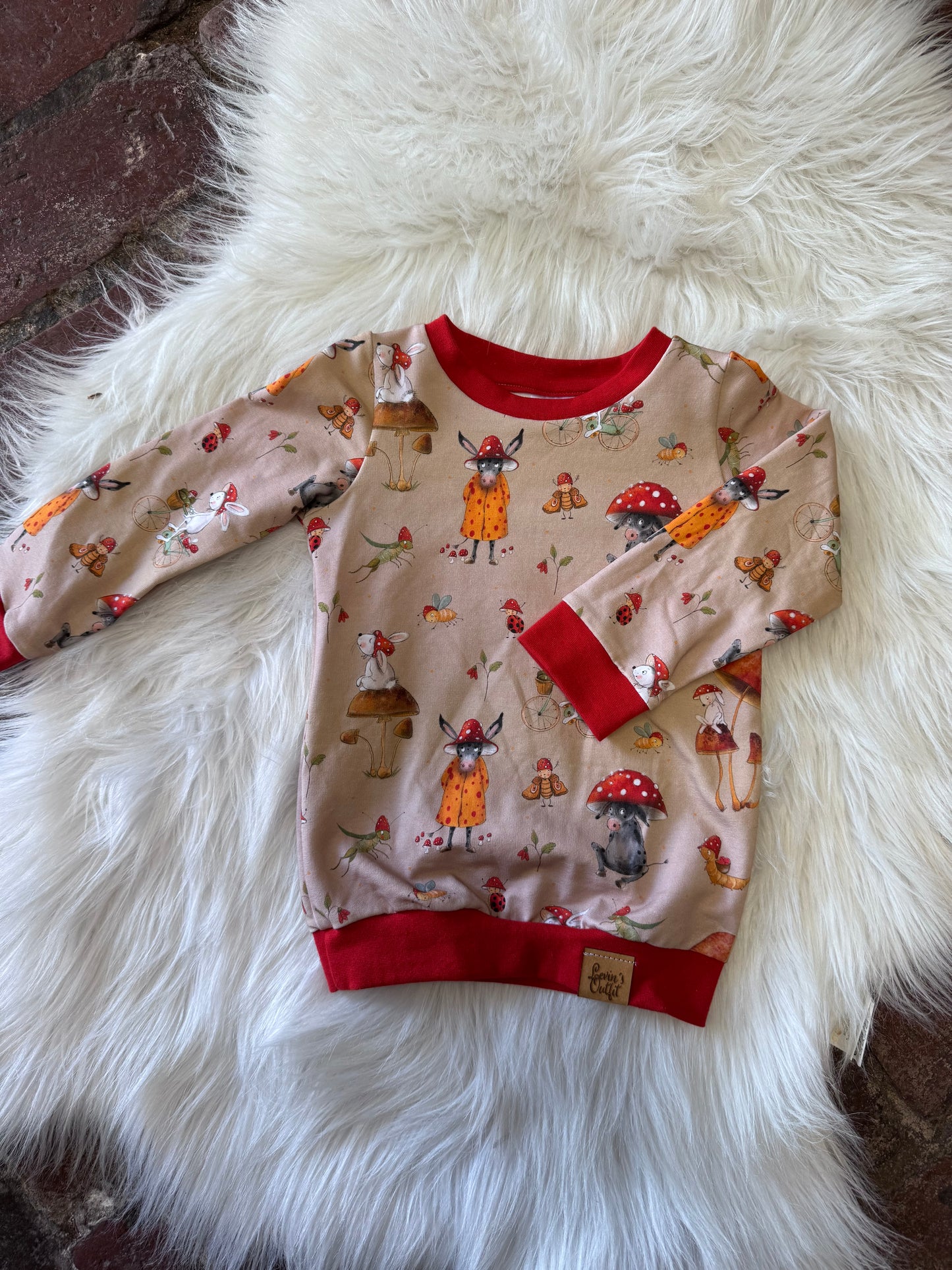Shirt Langarm- verschiedene Motive